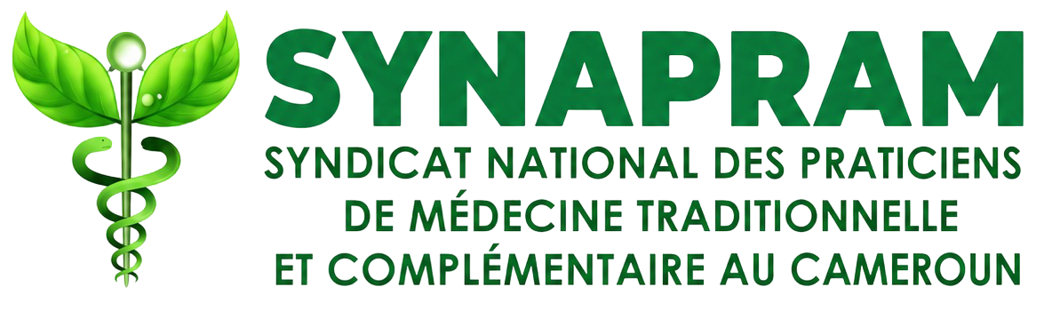 synapram.com